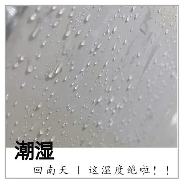 1740015373397907.jpg 640 (1)_副本.jpg