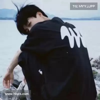嵇蒙飚